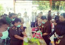 Kejari Palu Musnahkan 2,4 KG Ganja